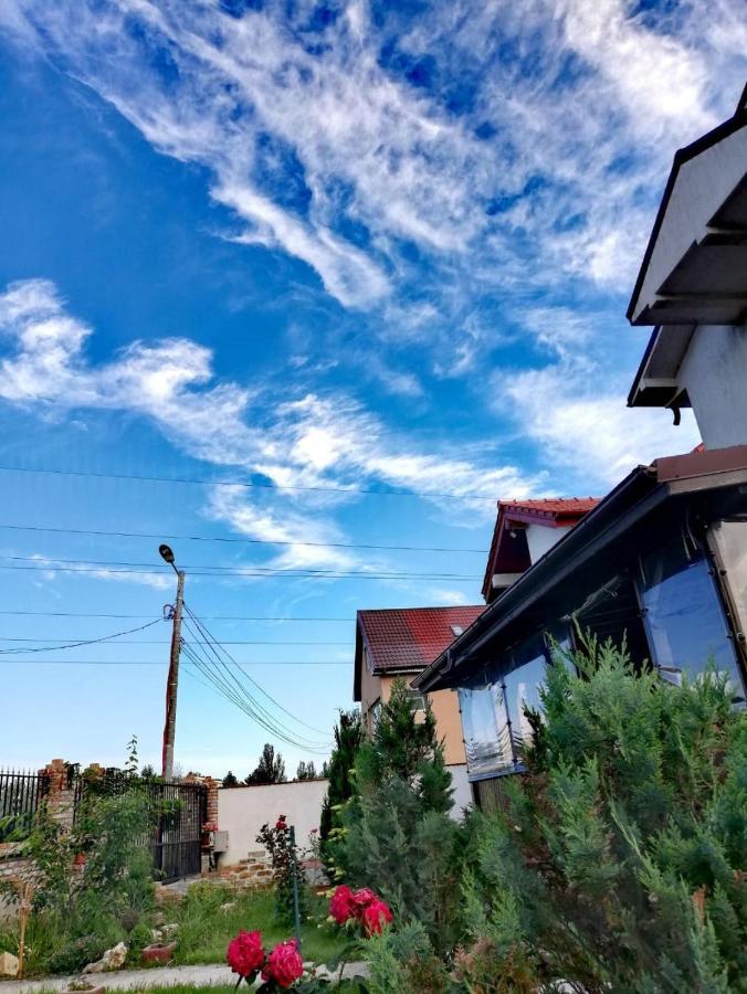 Casa Alba Hotel Navodari Luaran gambar