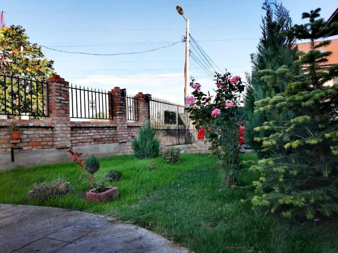 Casa Alba Hotel Navodari Luaran gambar