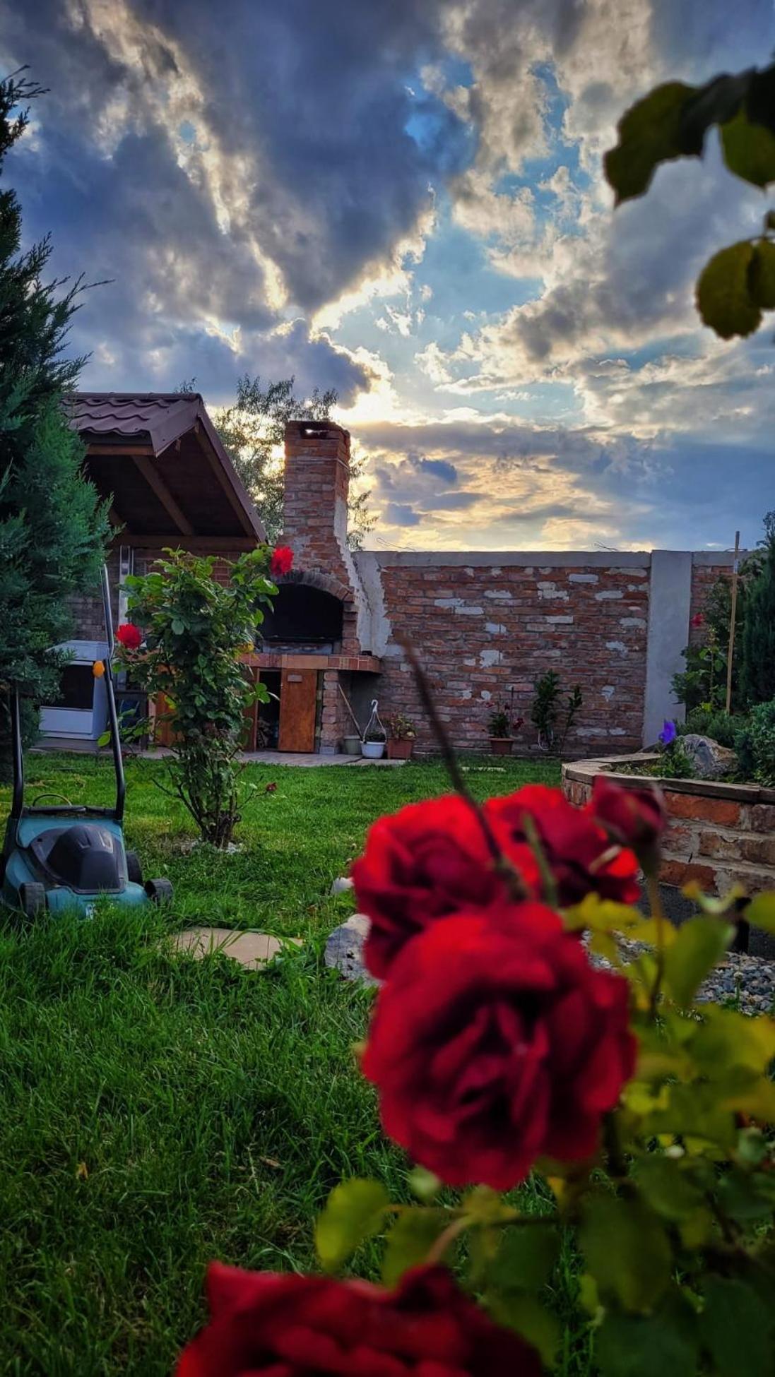 Casa Alba Hotel Navodari Luaran gambar