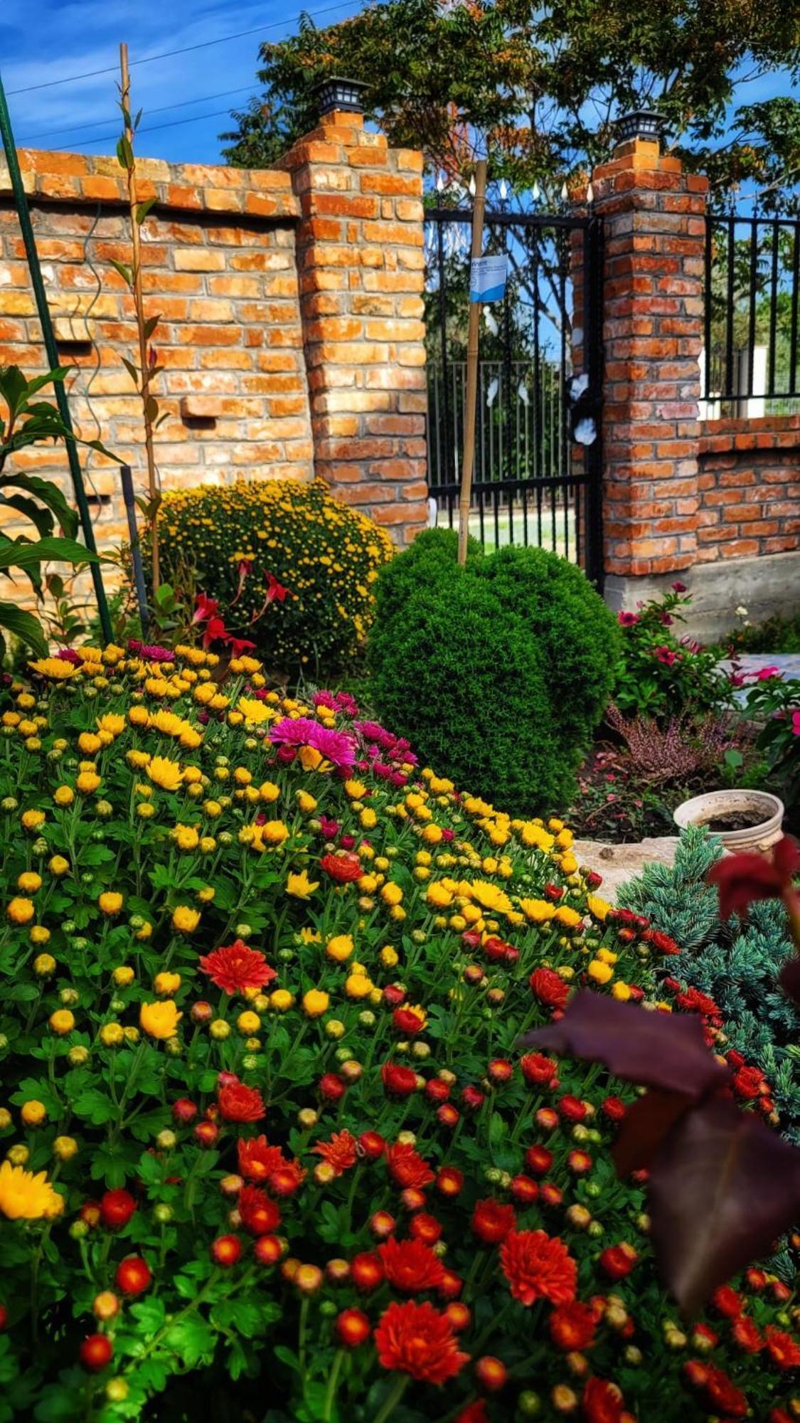 Casa Alba Hotel Navodari Luaran gambar